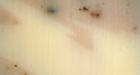 Tea Tree Skin Care