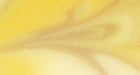 Shampoo Bar