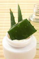 Aloe Vera Gel
