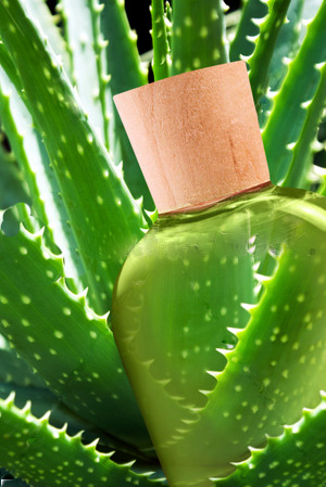 Aloe Vera Gel