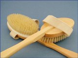 Back-Brush Scrubber